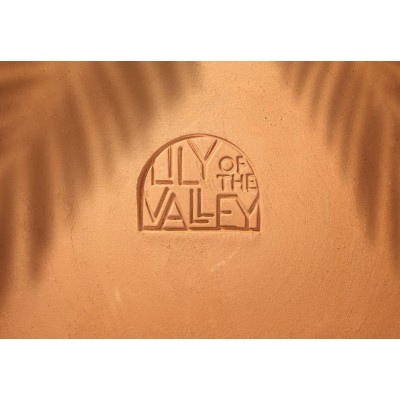 Lily of the Valley Hotel 5*