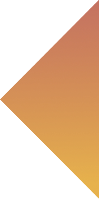 triangle orange