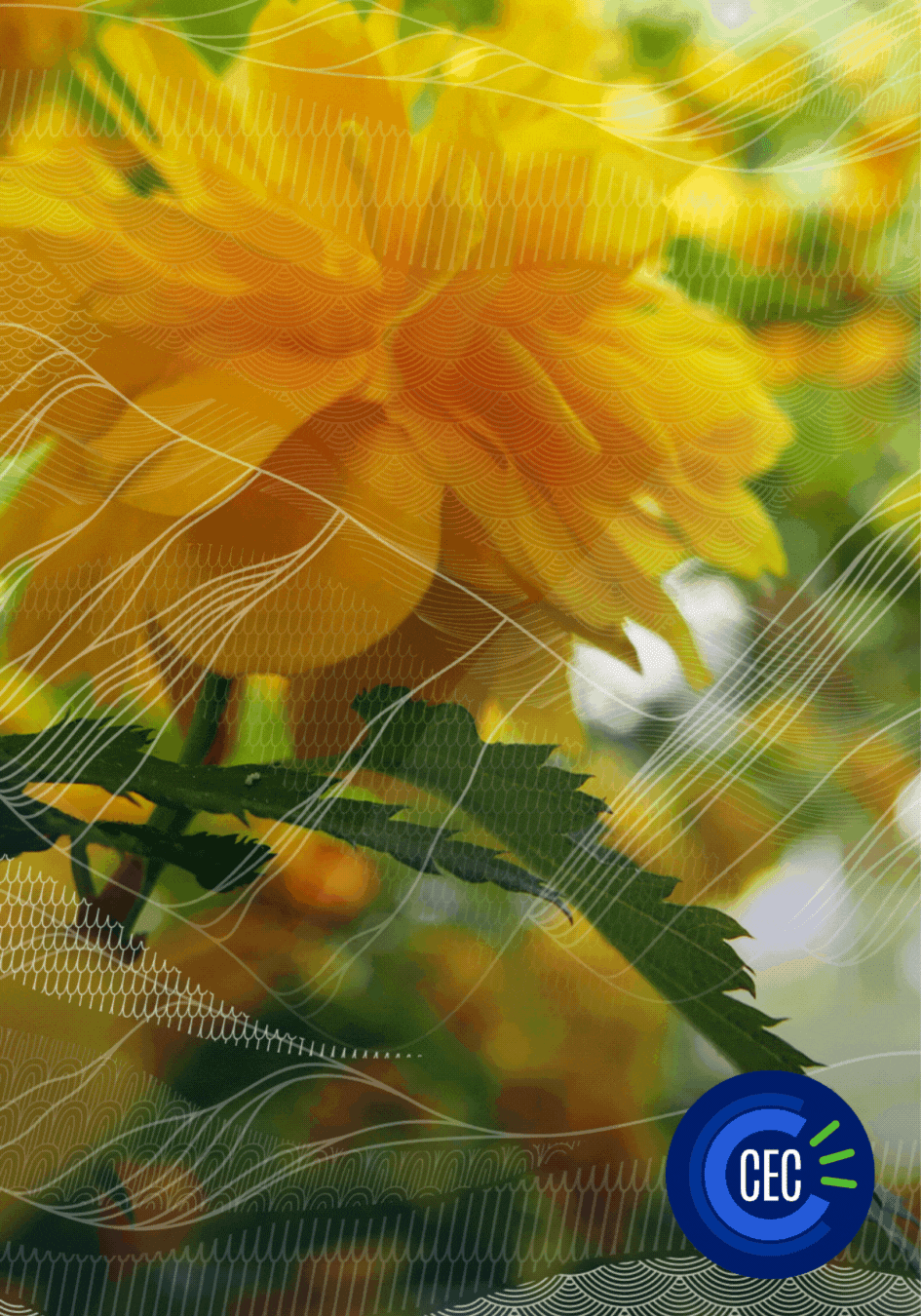 Une image contenant fleur, jaune, plante

Le contenu généré par l’IA peut être incorrect.