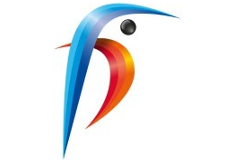 EDHEC ALUMNI TEAM KINGFISHER