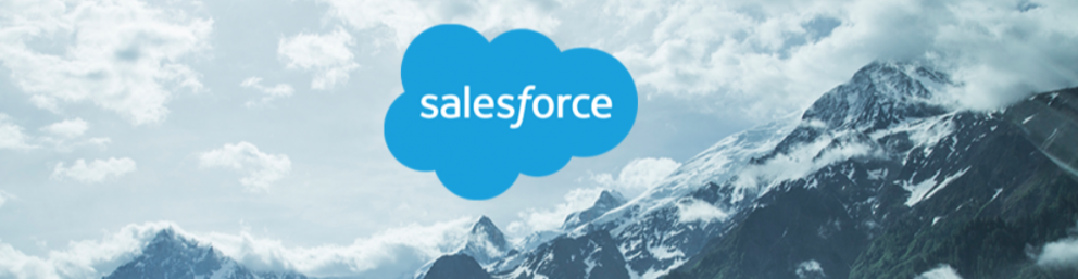 EDHEC ALUMNI TEAM - SALESFORCE