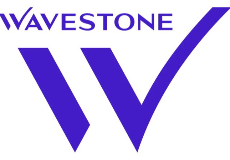 EDHEC ALUMNI TEAM WAVESTONE