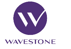 EDHEC ALUMNI TEAM WAVESTONE