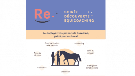 Equicoaching : une expérience unique pour développer l’Intelligence  émotionnelle et l’adaptabilité situationnelle