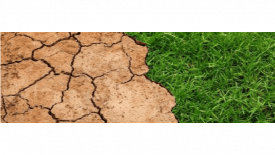 Carrière - Atelier "Développer son leadership climatique et engager son équipe autour des enjeux climat"