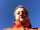 photo de profil d'un membre
